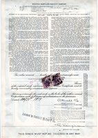 685 and 782 on Document - Rear
